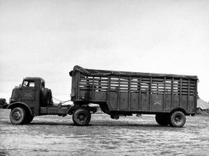 Federal 94x43A '1941